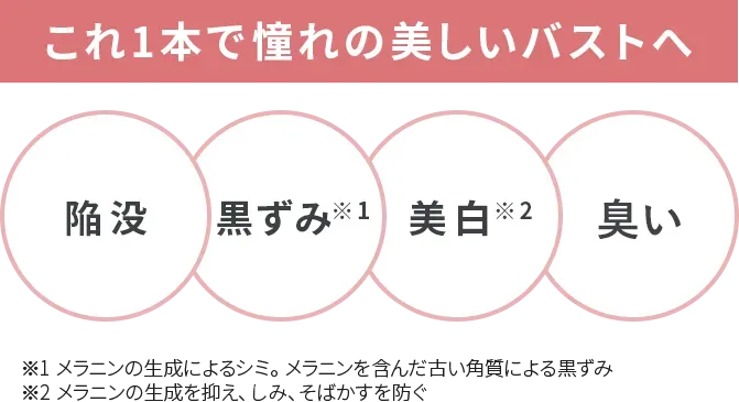 fv注釈