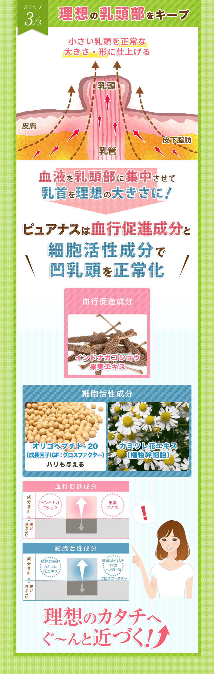 ステップ3/3 理想の乳頭部をキープ